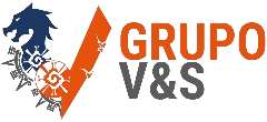 Logo Grupo V&S